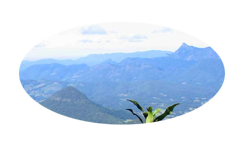 Chillingham-Community-Association